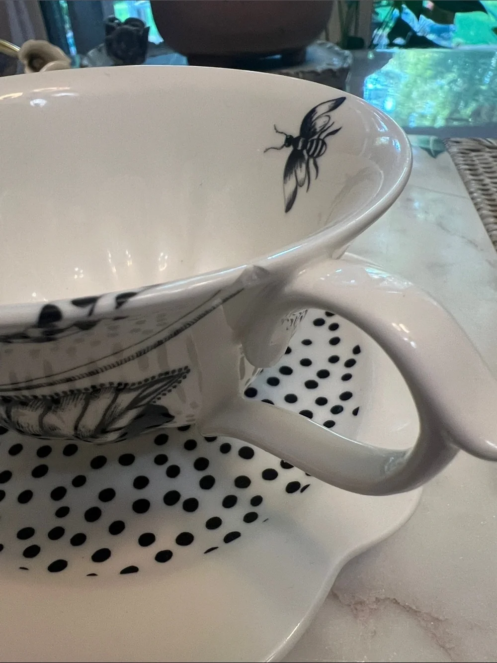 One Anthropologie cup and saucer